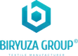 biryuza group